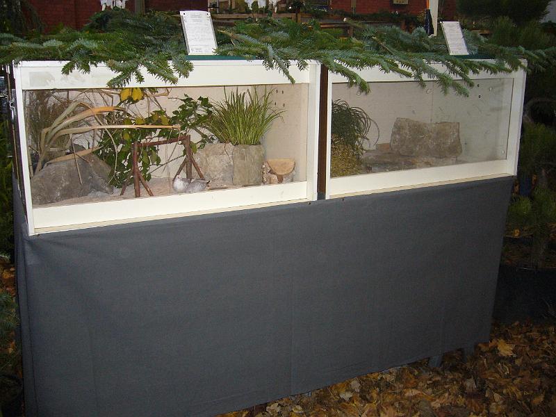 Ortsschau Langenberg 2008 259.jpg - Impressionen der Ortschau Langenberg 2008